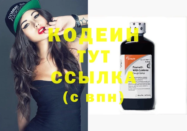 амф Вяземский
