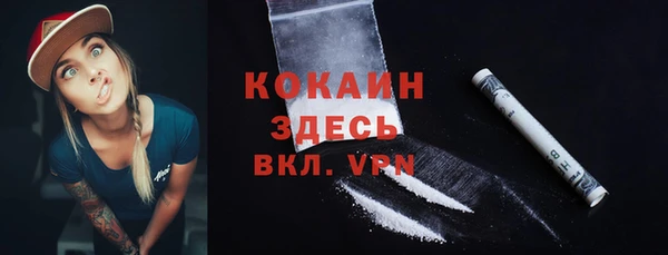 амф Вяземский