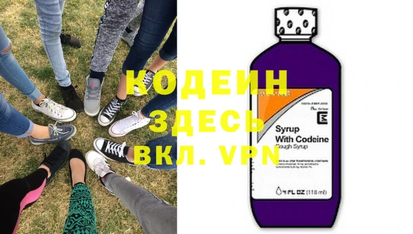 амф Вяземский