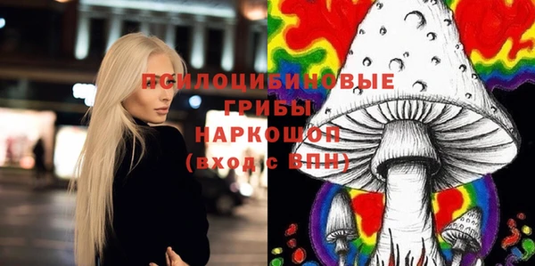 амф Вяземский