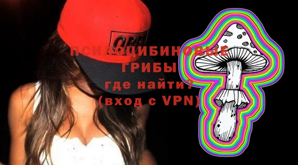 амф Вяземский