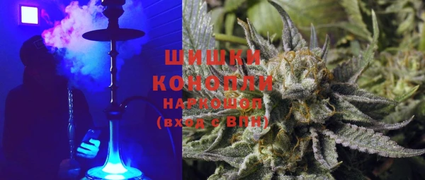 амф Вяземский