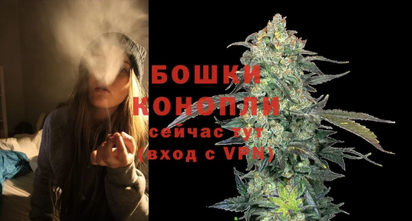 амф Вяземский