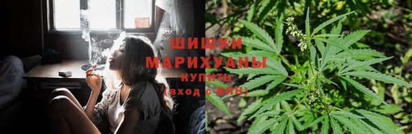амф Вяземский