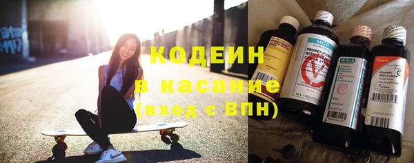 амф Вяземский