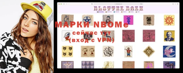 амф Вяземский