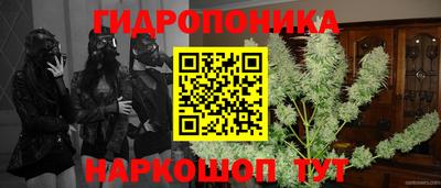 спиды Рузаевка