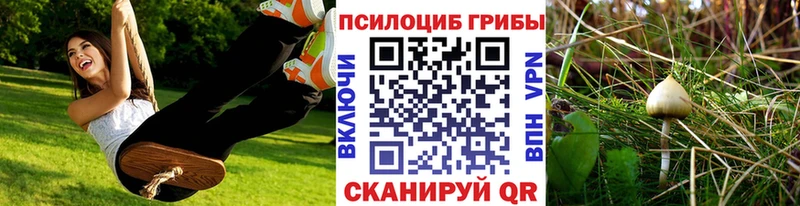 МЕГА ссылки  Таганрог  Псилоцибиновые грибы MAGIC MUSHROOMS 