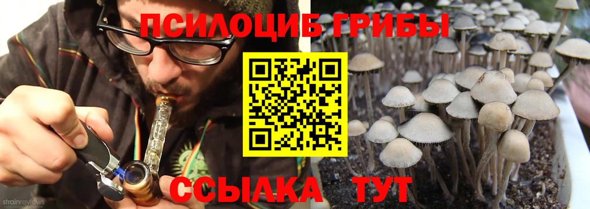 Псилоцибиновые грибы мухоморы Таганрог